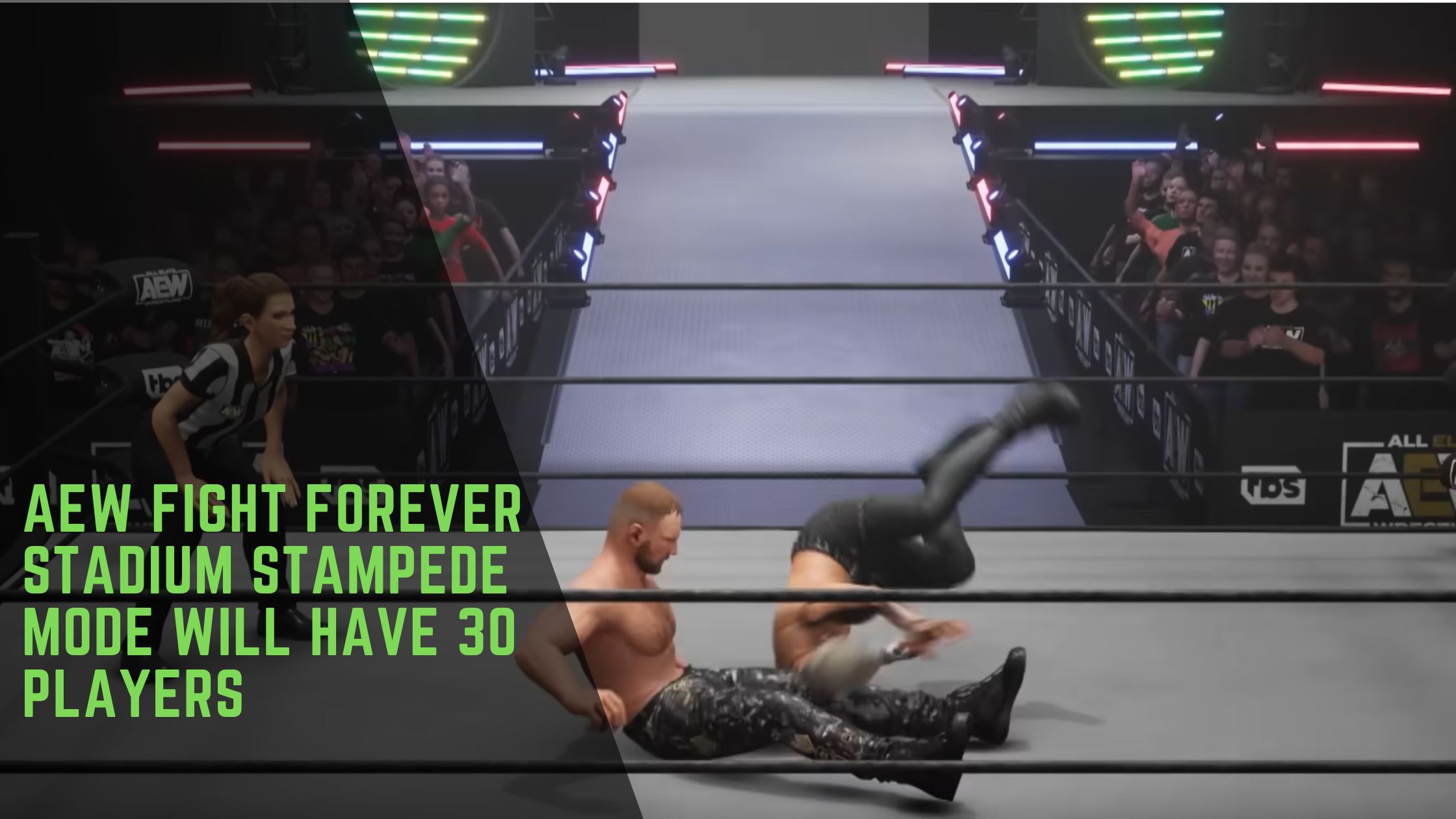 AEW Fight Forever Stadium Stampede Mode Will Feature 30 Players Gamesual