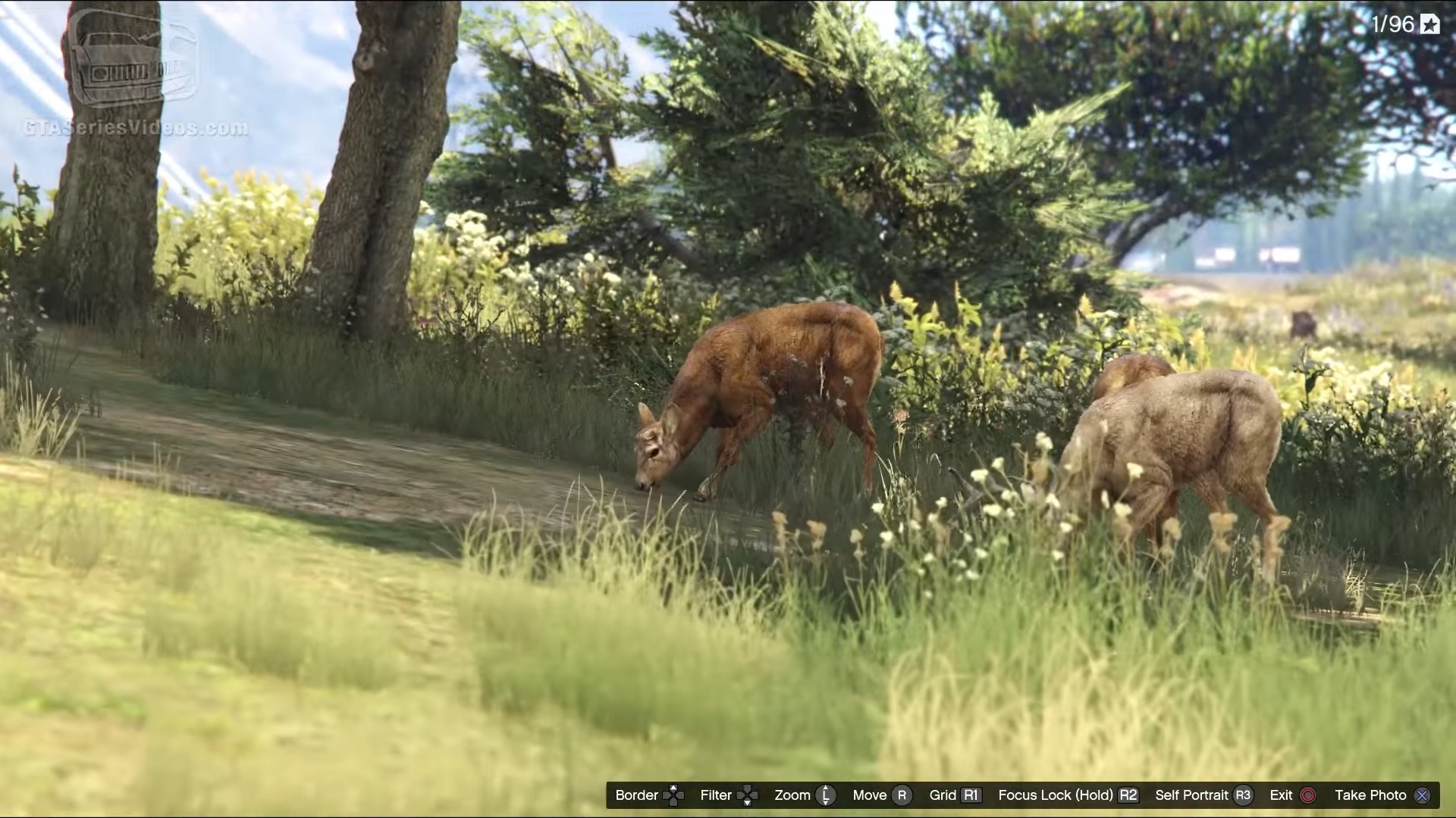 Wildlife Photography Challenge hobbies gta v