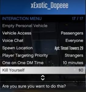 Interaction Menu in GTA V