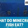 What do Fish eat in Minecraft