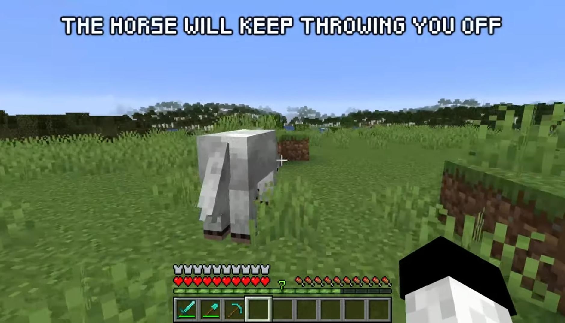 taming horses