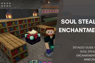 Soul Stealer enchantment in Minecraft