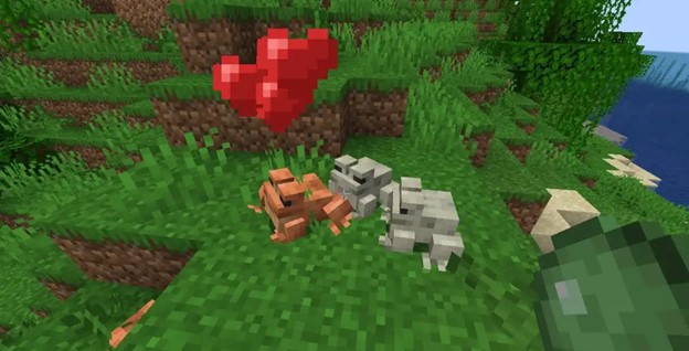 Two frogs in Minecraft with hearts above them.