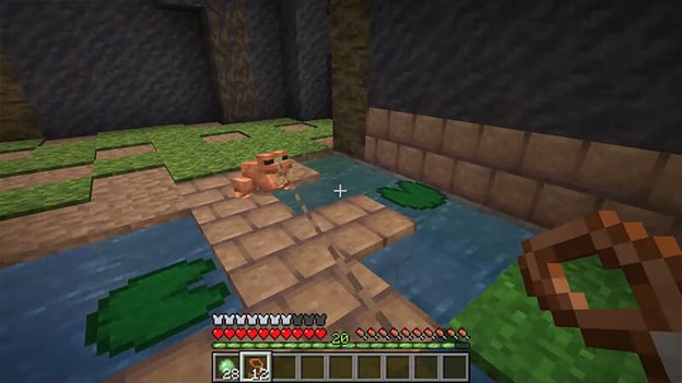 A frog in Minecraft being fed slimeballs