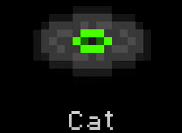 Cat Minecraft Disc