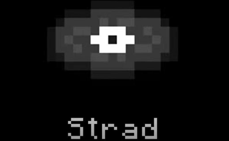 Strad Disc in Minecraft