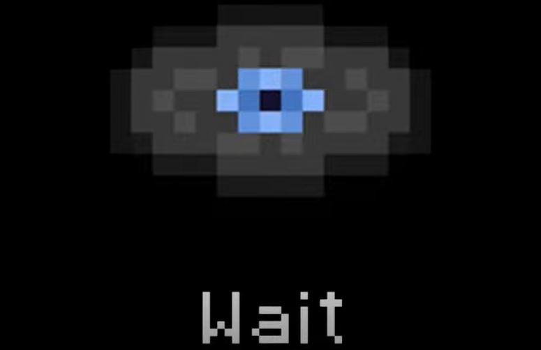 Wait Disc in Minecraft