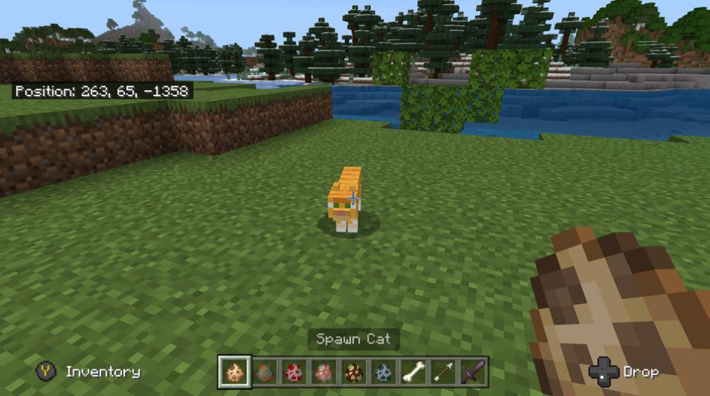 minecraft-cat