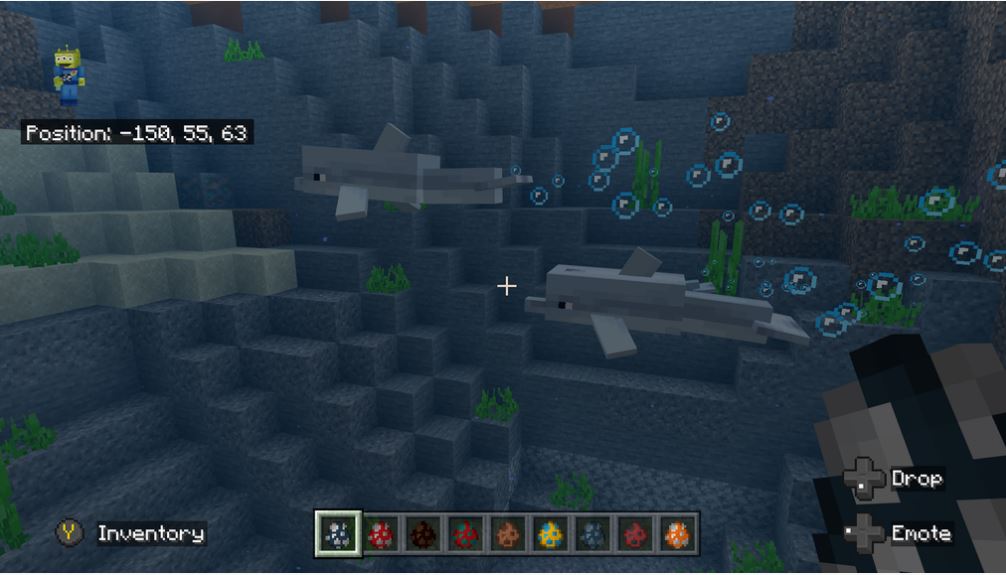 minecraft-dolphins