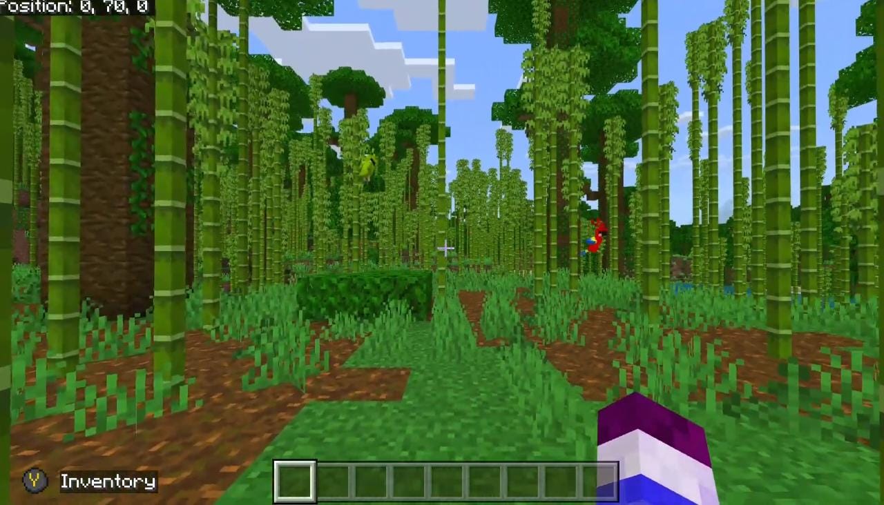 bamboo jungle in Minecraft