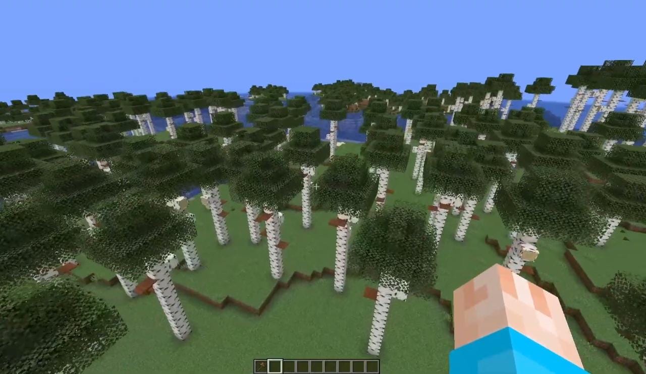 Birch forest and many other biomes are present in this seed world of Minecraft