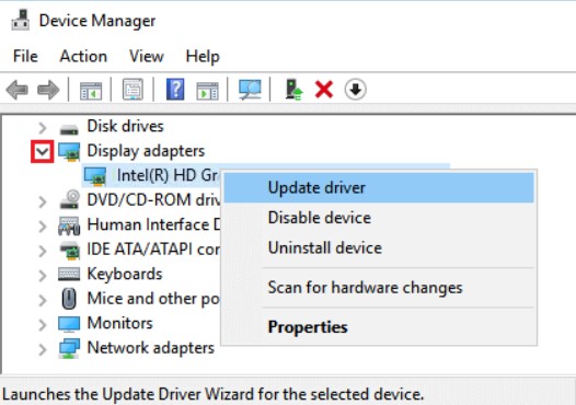 Device manager to update Display adapters