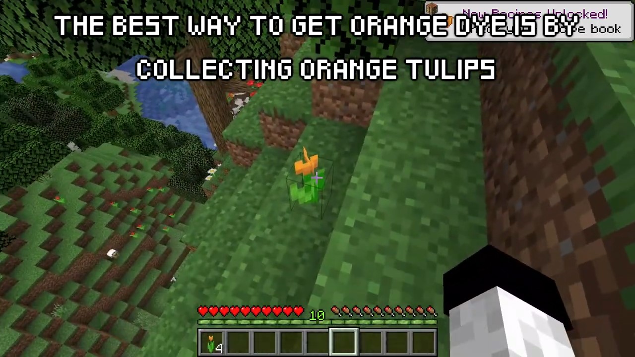 collect Orange tulip to make orange Dye in Minecraft