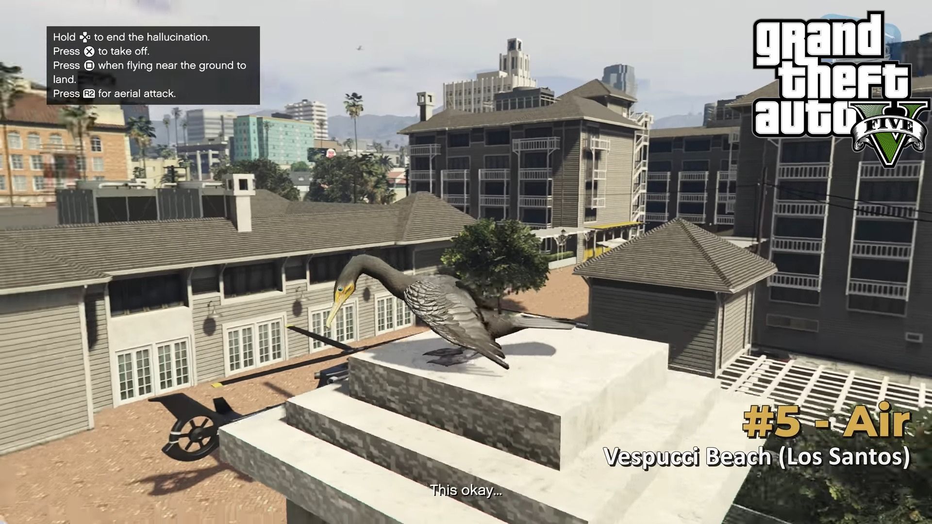 peyote plant gta 5 online bird animal