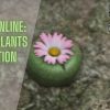 Peyote Plants location gta 5 online