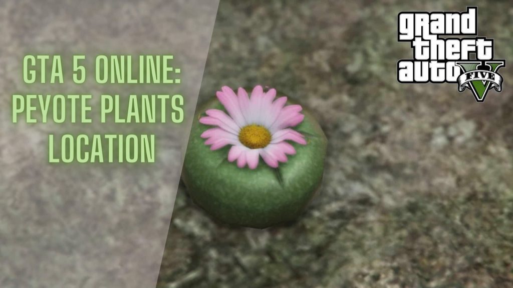 GTA 5 Online Peyote Plants [Location Guide] Gamesual