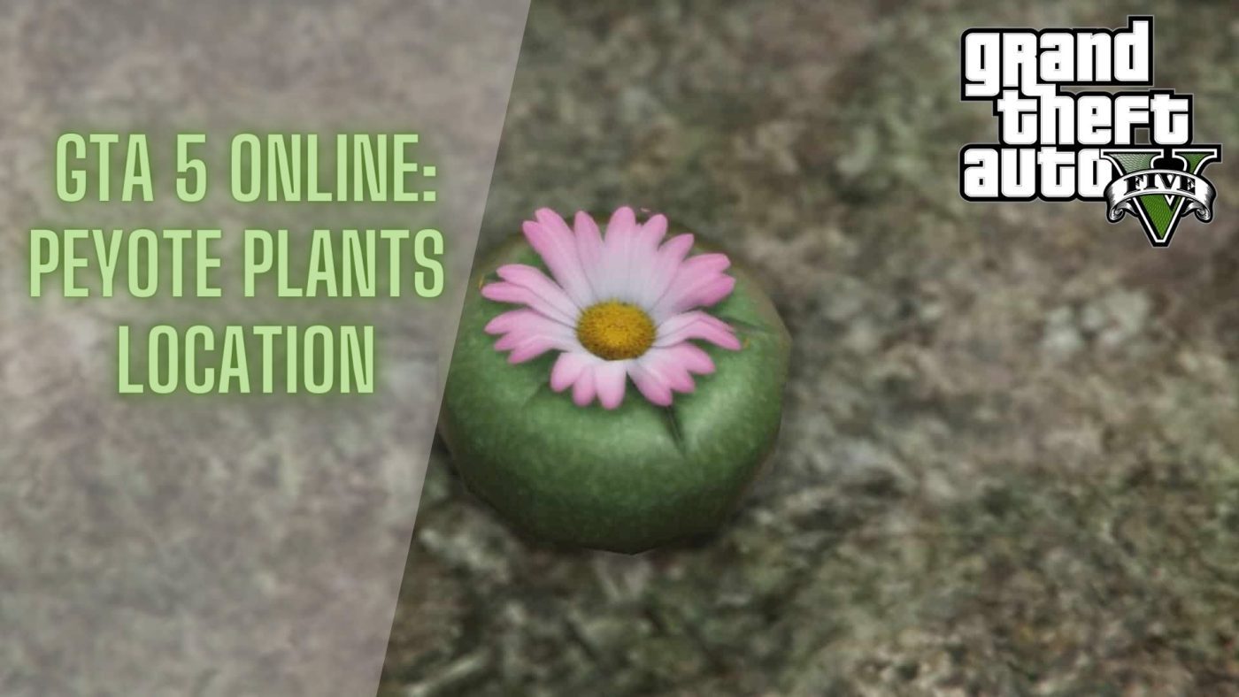 location of peyote plants in gta 5 online