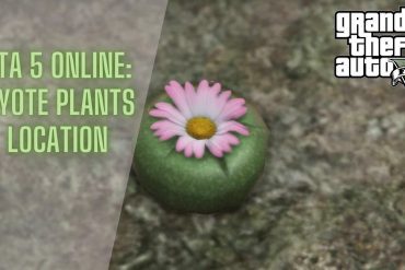 Peyote Plants location gta 5 online