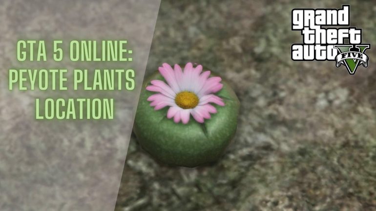 Peyote Plants location gta 5 online