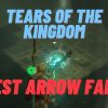 Tears of the Kingdom Best Arrow Farm