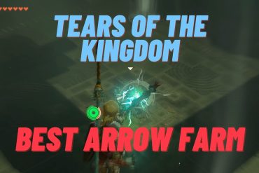 Tears of the Kingdom Best Arrow Farm