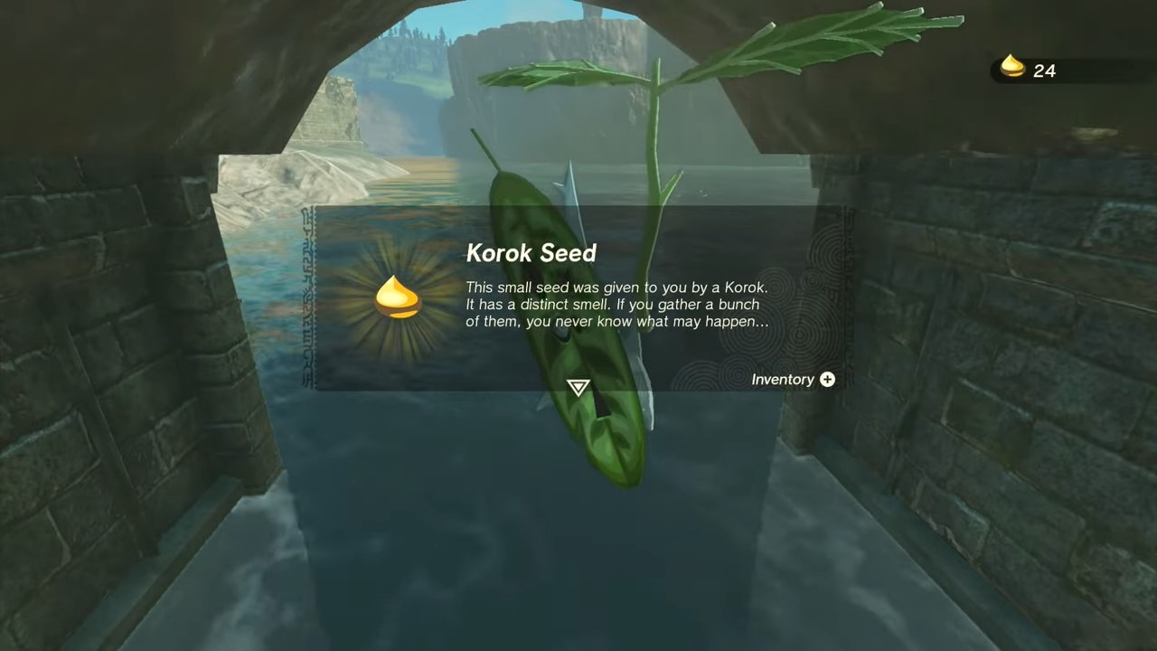 Finding Korok Seeds in Hyrule Fields