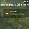 Korok Seeds Tears of Kingdom