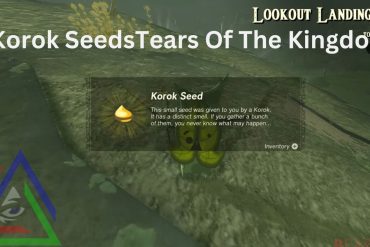 Korok Seeds Tears of Kingdom