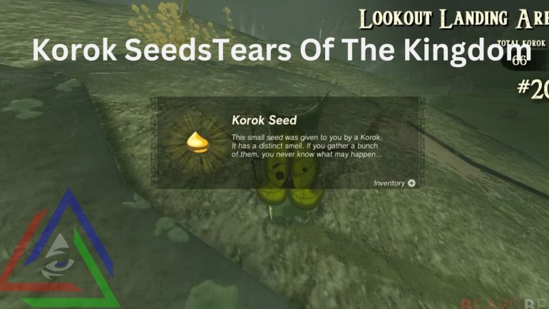 Korok Seeds Tears of Kingdom