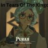 Purah in Tears Of the Kingdom