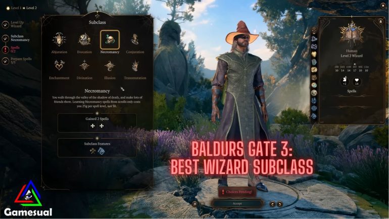 The Images shows all the Wizard subclass.