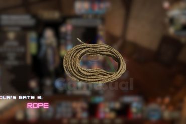 Baldurs Gate 3 Rope