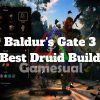 Best Druid Build for Baldur's Gate 3