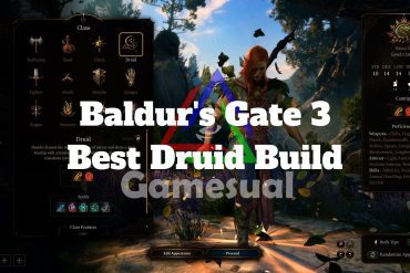 Best Druid Build for Baldur's Gate 3