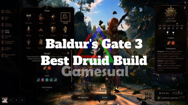 Best Druid Build for Baldur's Gate 3