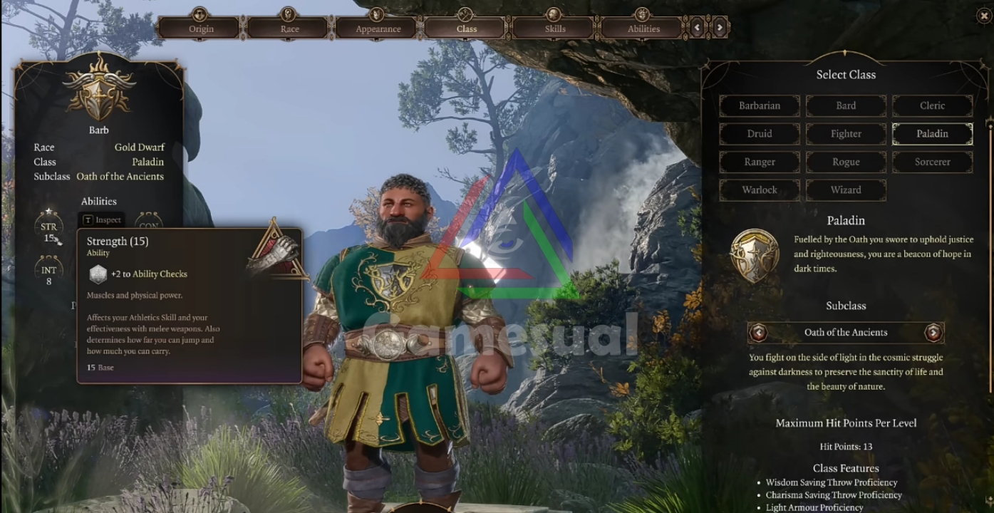 Paladin in character creation