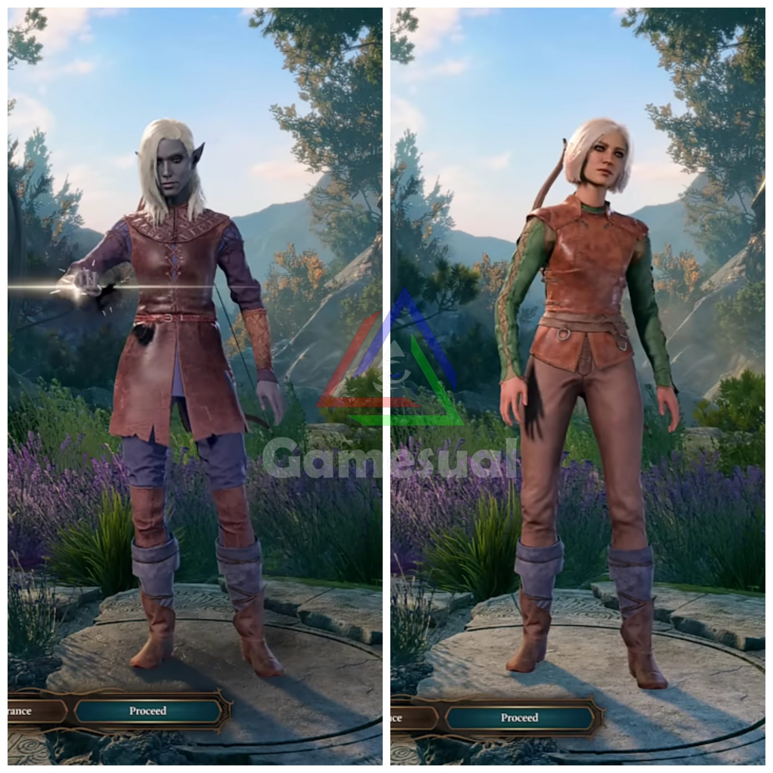 Rogue/Ranger