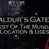 Baldur's Gate 3 Chest Of The Mundane