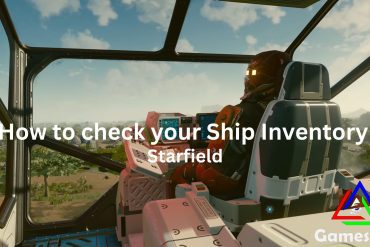 How to access your ship inventory