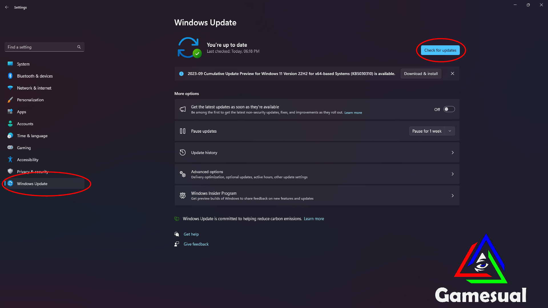 Windows 11 Update